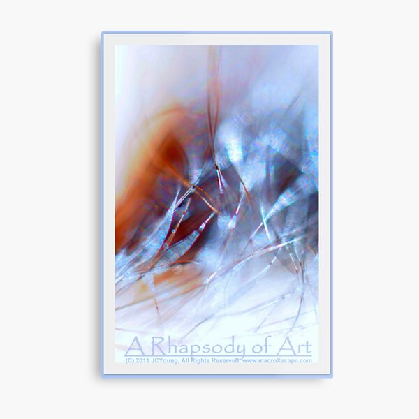 A Rhapsody of Art Metal Print