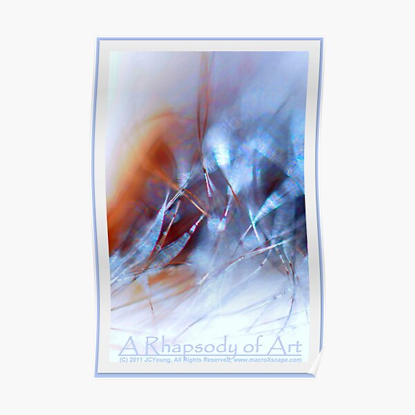 A Rhapsody of Art Poster