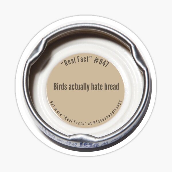 hater snapback real vs fake