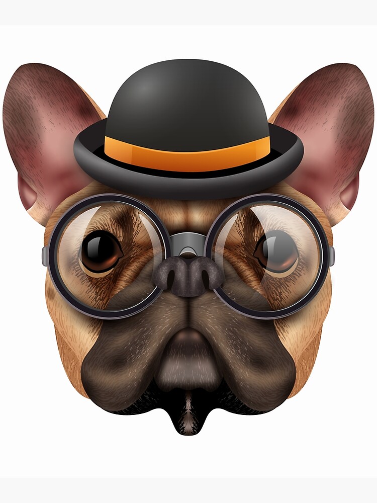 dog with glasses and hat