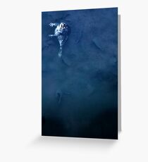 Frog Coitus Greeting Card