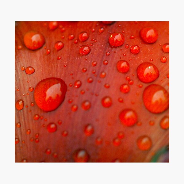 Item preview, rain drop on red  designed and sold by sully.