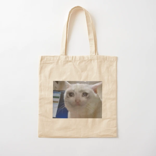 Crying Cat Meme
