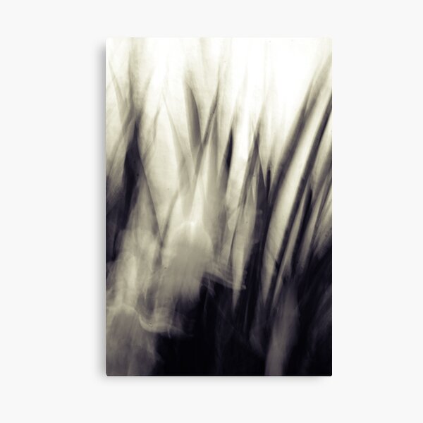 Spring Returns Canvas Print