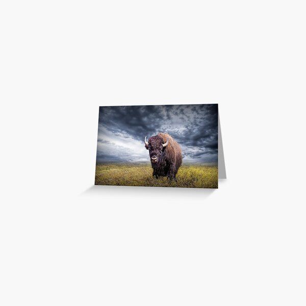 Artikel-Vorschau von Plains Buffalo in der Prärie, designt und verkauft von Randall Nyhof.