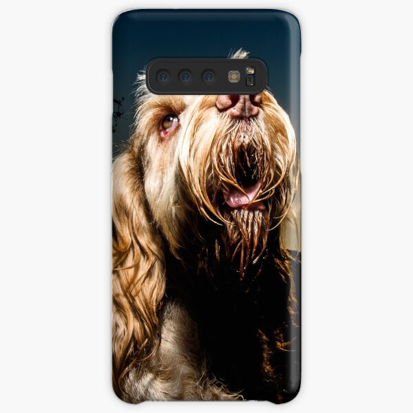 Stargazing Spinone Samsung Galaxy Snap Case
