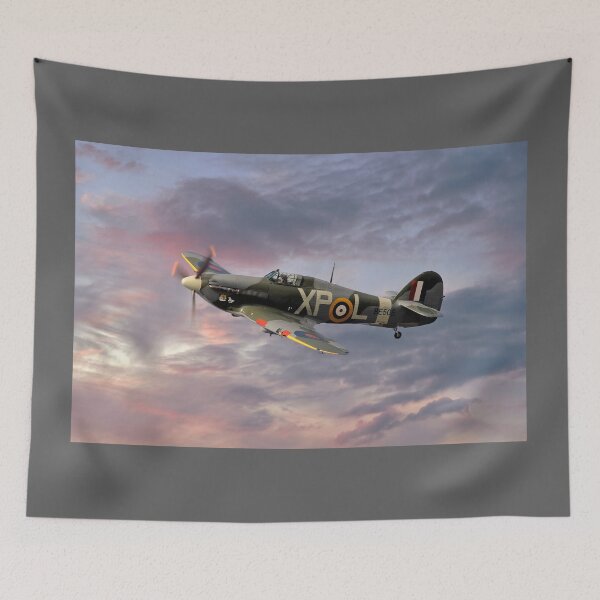 Aperçu de l'œuvre Hawker Hurricane - Sortie du soir créée et vendue par Steve H Clark.