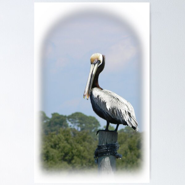 Item preview, Cedar Key Pelican designed and sold by Warren  Thompson.