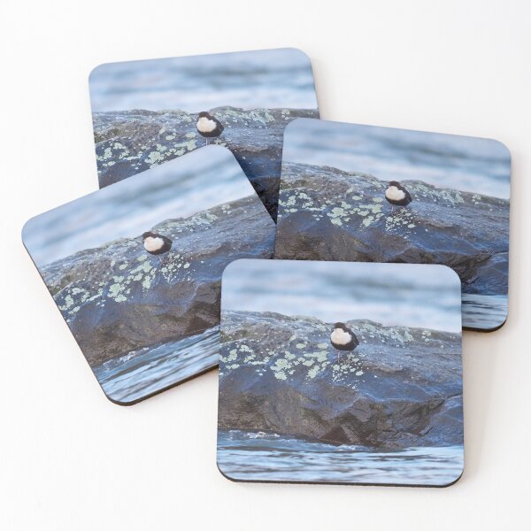 Item preview, On the rocks. White-throated dipper designed and sold by Jouko Lehto Photography.