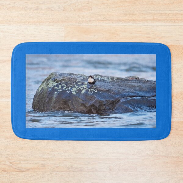 Item preview, On the rocks. White-throated dipper designed and sold by Jouko Lehto Photography.