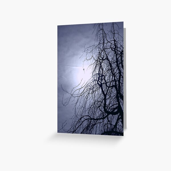 Item preview, Twisted designed and sold by Sharon Woerner.