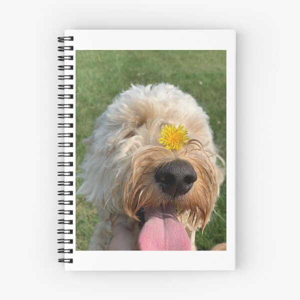Item preview, Goldendoodle  designed and sold by Amanda16barry.