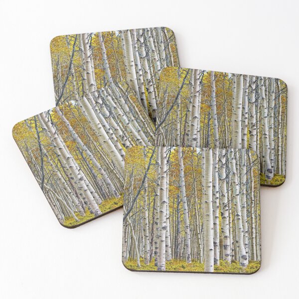 Item preview, Autumn Birch Trees designed and sold by Randall Nyhof.