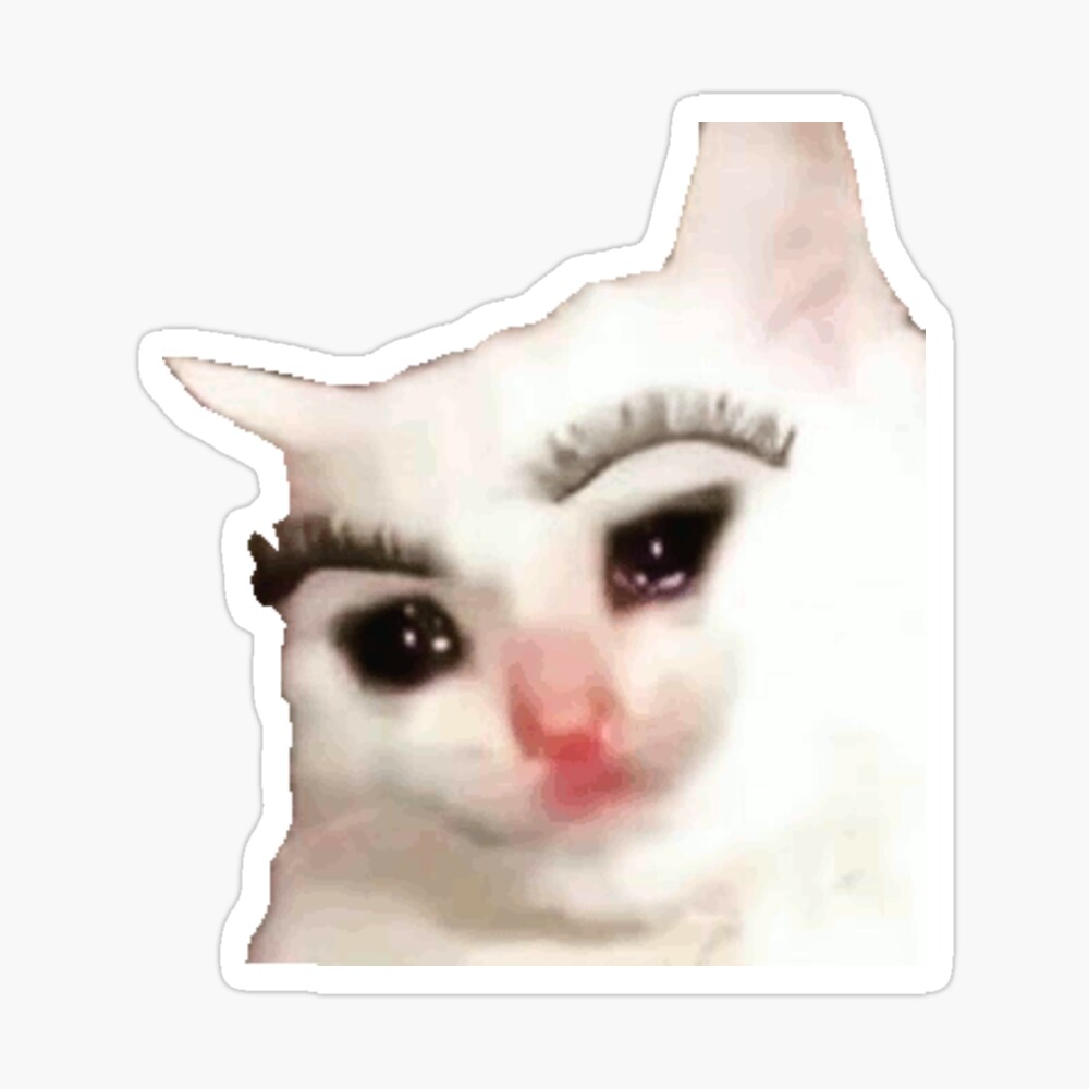 Cat with eyelashes meme
