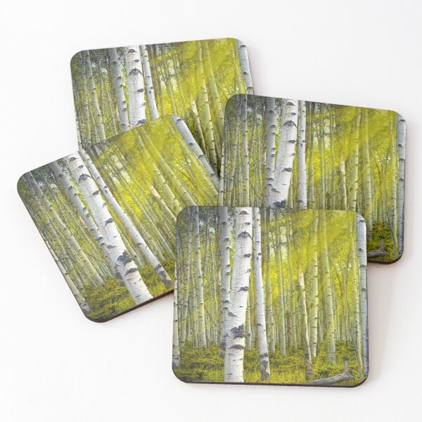 Item preview, Birch Trees bathed in Sunlight Beams designed and sold by Randall Nyhof.