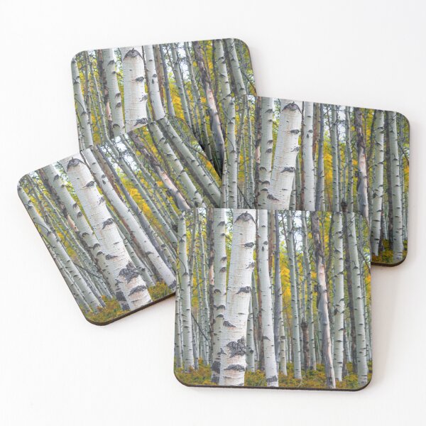 Item preview, Birch Trees in Autumn designed and sold by Randall Nyhof.