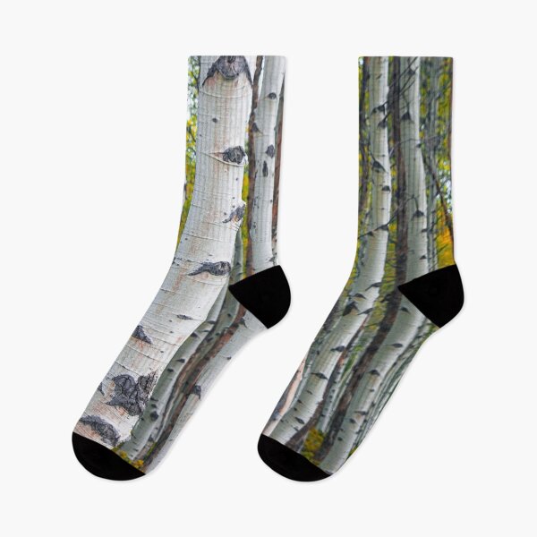 Item preview, Birch Trees in Autumn designed and sold by Randall Nyhof.