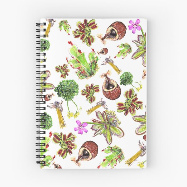 Item preview, Carnivor plants designed and sold by Caroline Bochud.