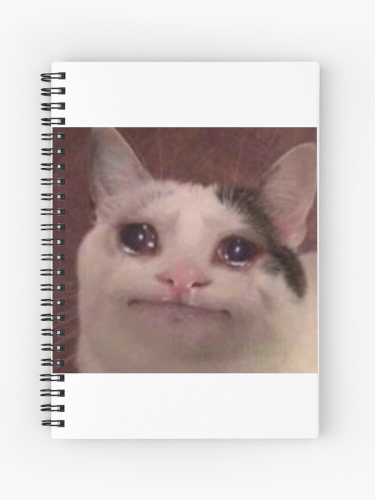 Sad Face Meme Spiral Notebooks for Sale