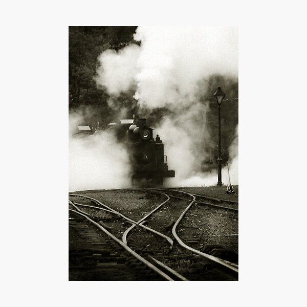 Puffing Billy Photographic Print