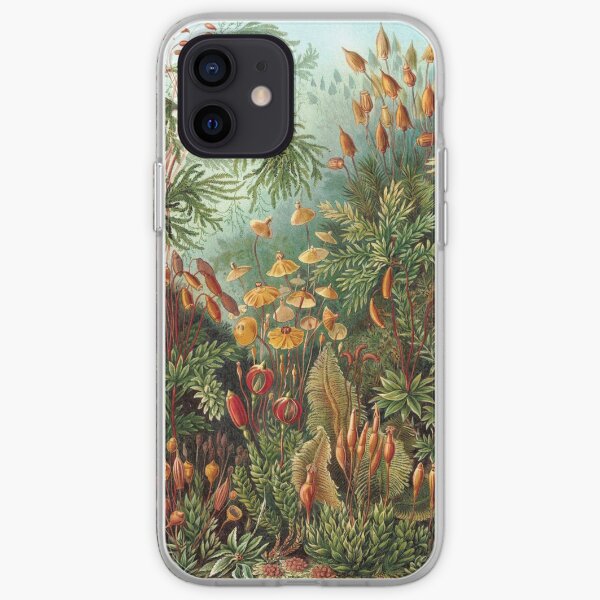 Plantas vintage Naturaleza decorativa Pintura Ilustración Obra Funda blanda para iPhone