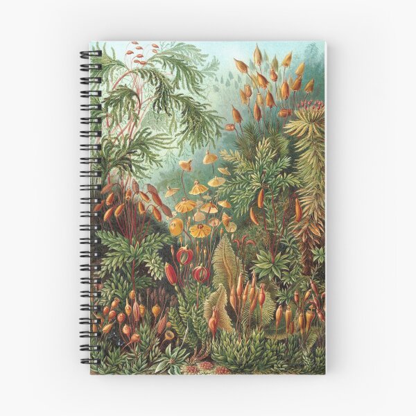 Item preview, Vintage Plants Decorative Nature Painting Illustration Artwork designed and sold by livianasgifts.