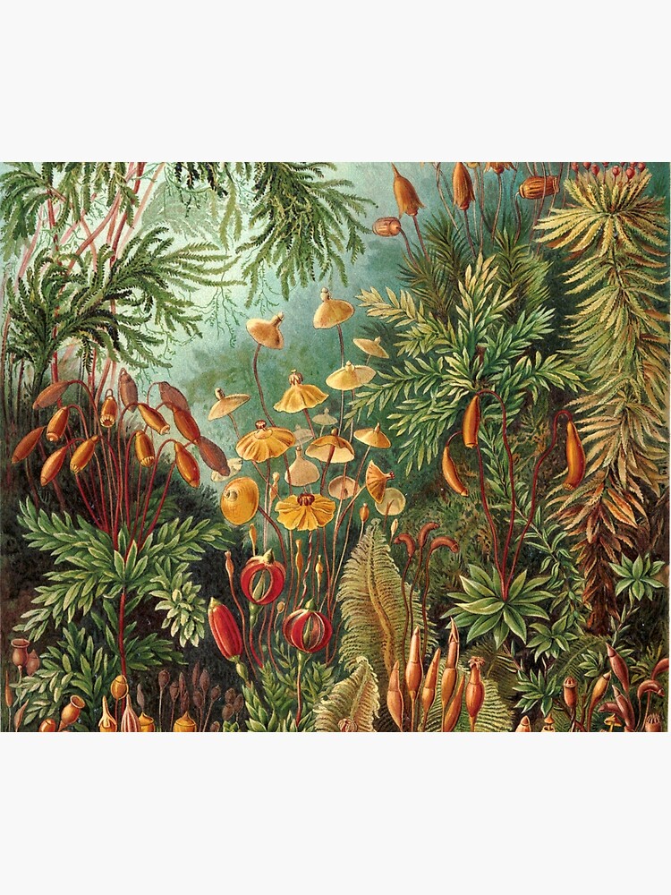 Vintage Plants Decorative Nature Painting Illustration Artwork by livianasgifts