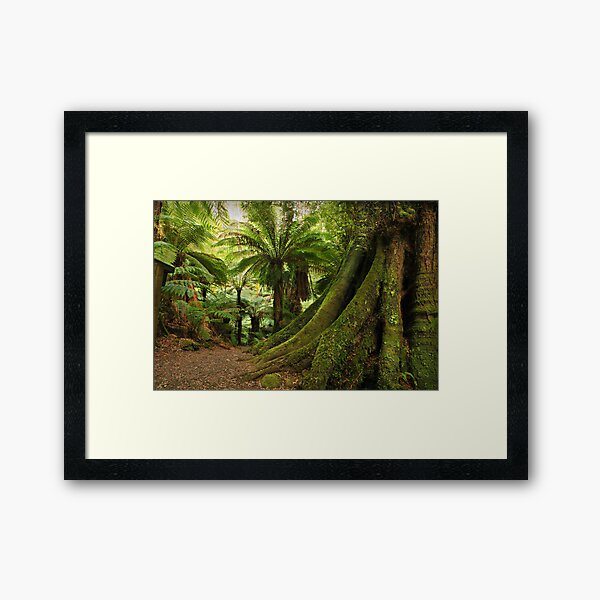 Item preview, Forest Track designed and sold by Greg Earl.