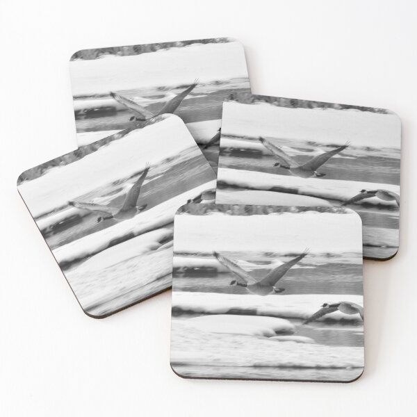 Item preview, Geese coming in for a landing in black and white designed and sold by CanadianWild418.