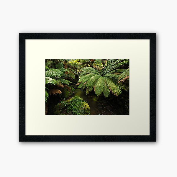 Item preview, Tarra - Bulga National Park designed and sold by Greg Earl.
