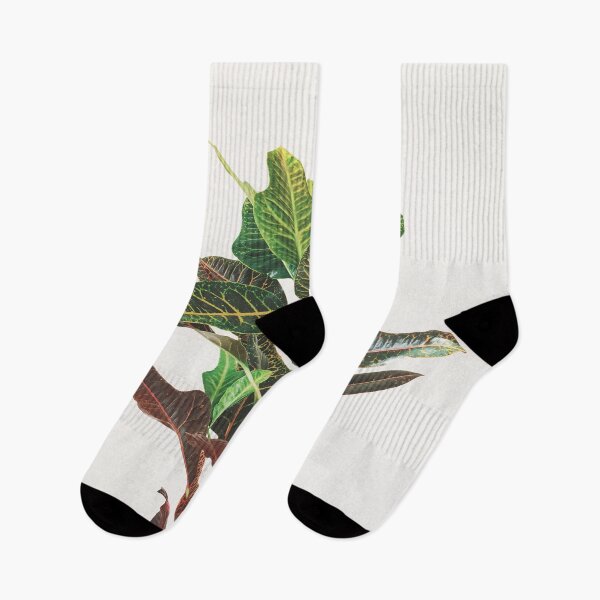 Item preview, Croton designed and sold by Cassia Beck.