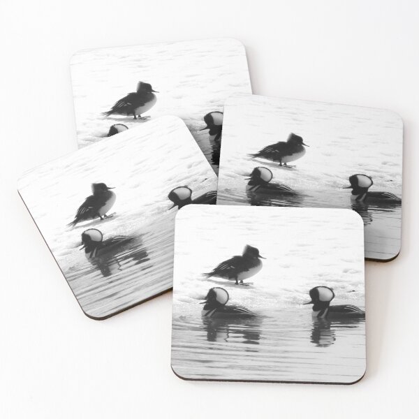 Item preview, Hooded Mergansers designed and sold by CanadianWild418.