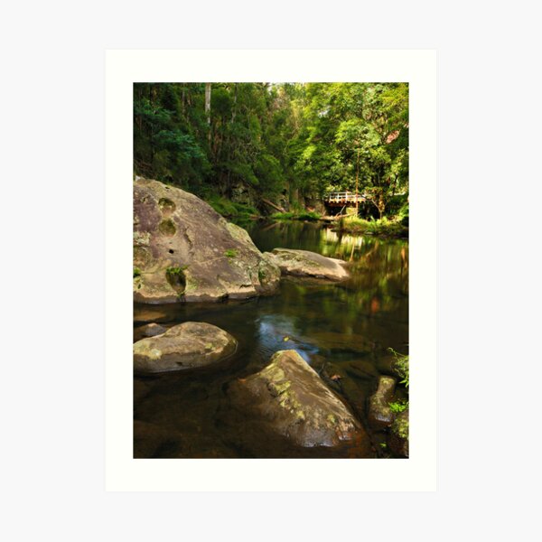 Tarra River - Victoria Art Print