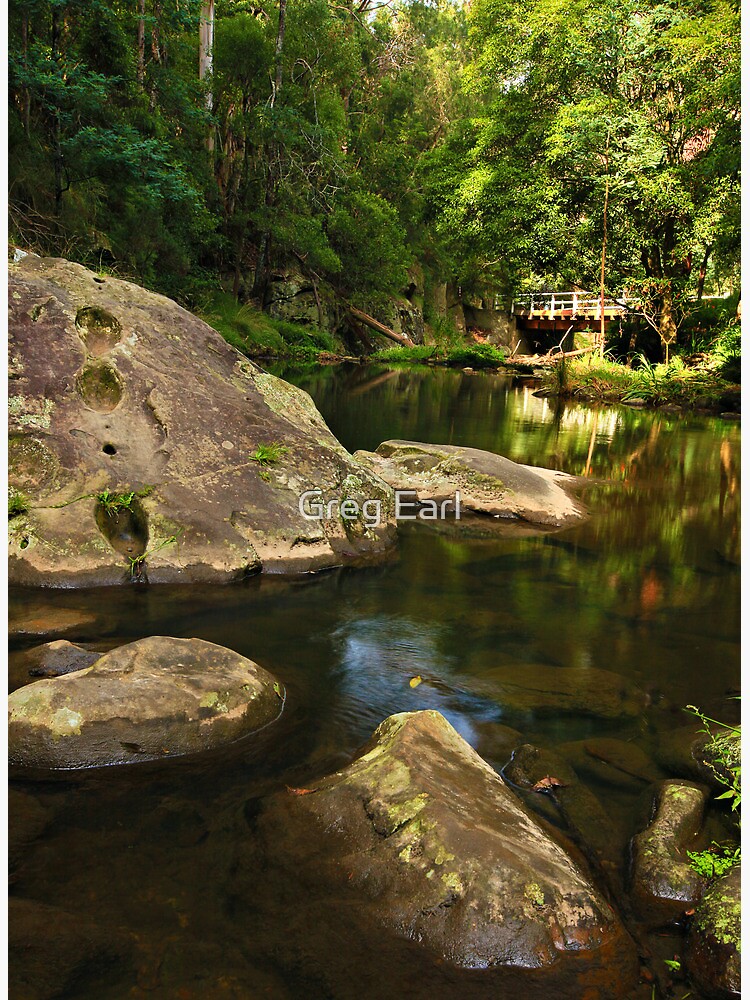 Tarra River - Victoria by GregEarl