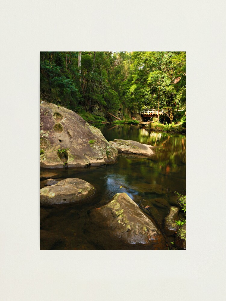 Alternate view of Tarra River - Victoria Photographic Print