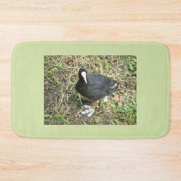 Item preview, Coot with Big Funny Feet Photograph designed and sold by naturegallery.