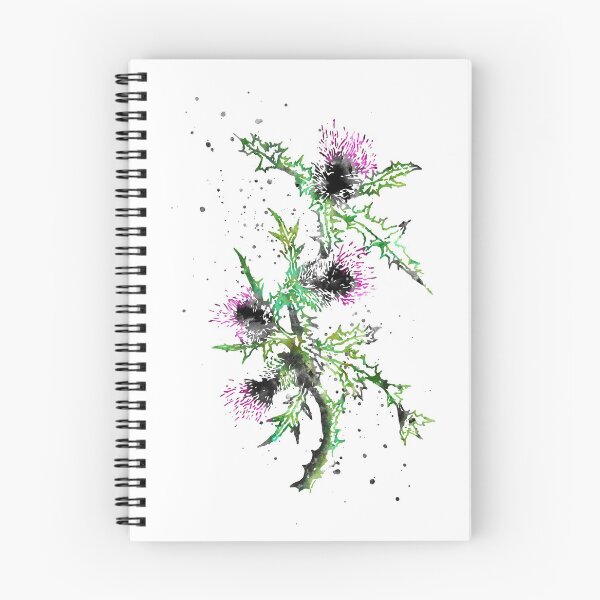 Item preview, Scottish Thistle, watercolor Scottish Thistle designed and sold by Rosaliartbook.