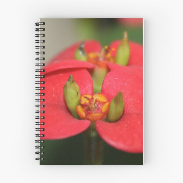 Item preview, Little One designed and sold by Katagram.