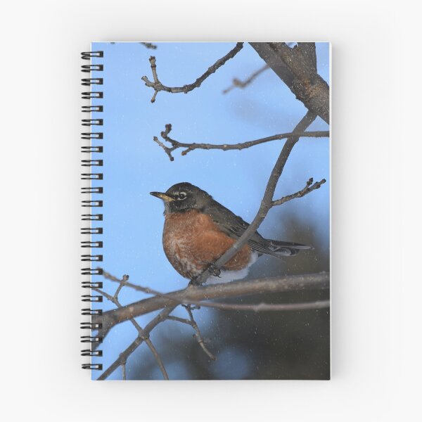 Item preview, Winter Robin designed and sold by NicoleFrederick.