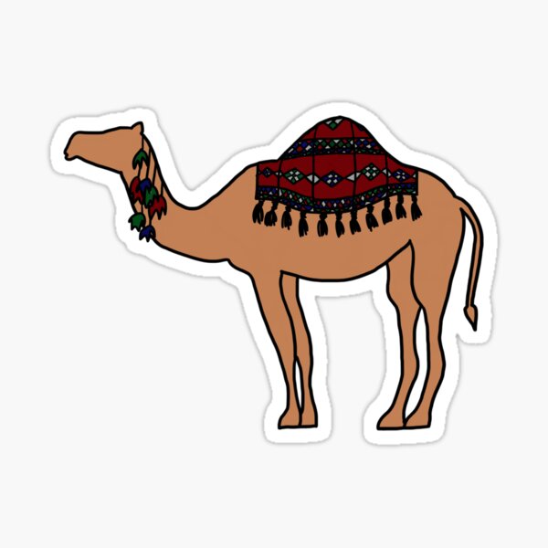 Aperçu de l'œuvre Chameau marocain créée et vendue par Shahr Co.