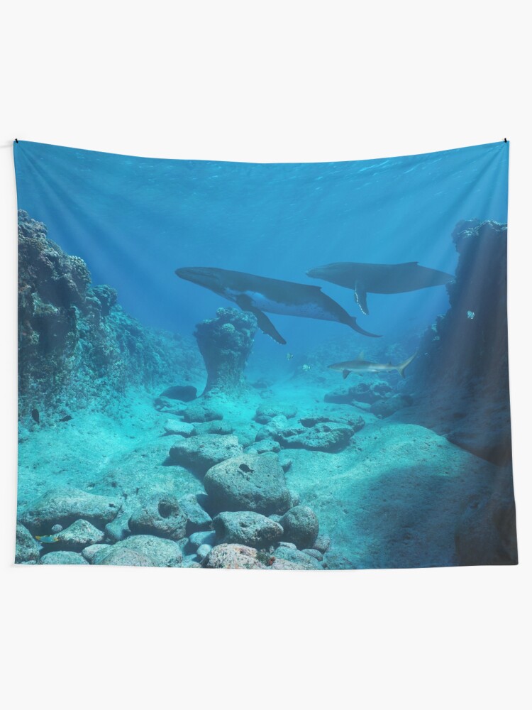 underwater tapestry