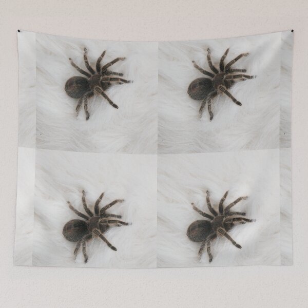 Item preview, Tarantula on Fur designed and sold by HSPhotography.