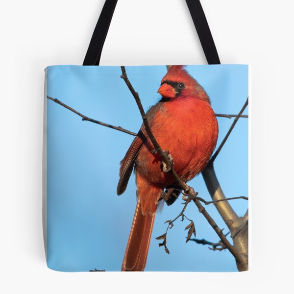 Item preview, Northern Cardinal designed and sold by nwbirdscapes.