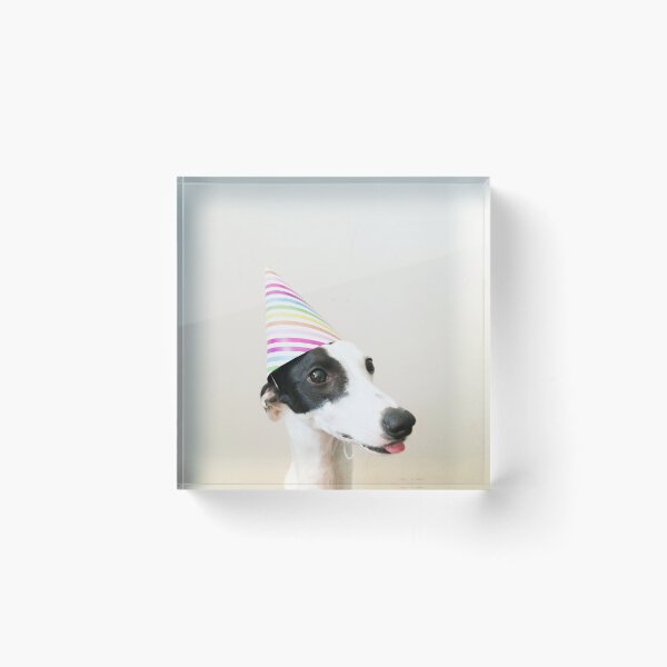Item preview, Party Pooper designed and sold by Cassia Beck.