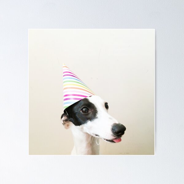 Item preview, Party Pooper designed and sold by Cassia Beck.