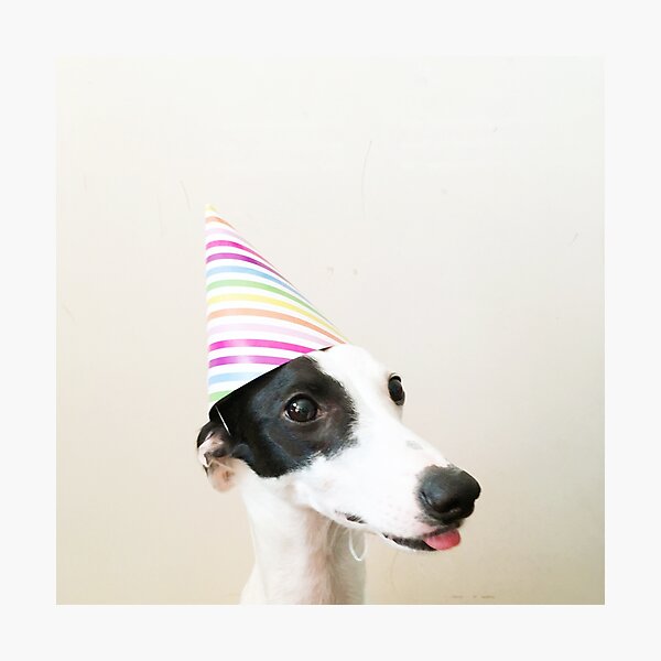 Item preview, Party Pooper designed and sold by Cassia Beck.
