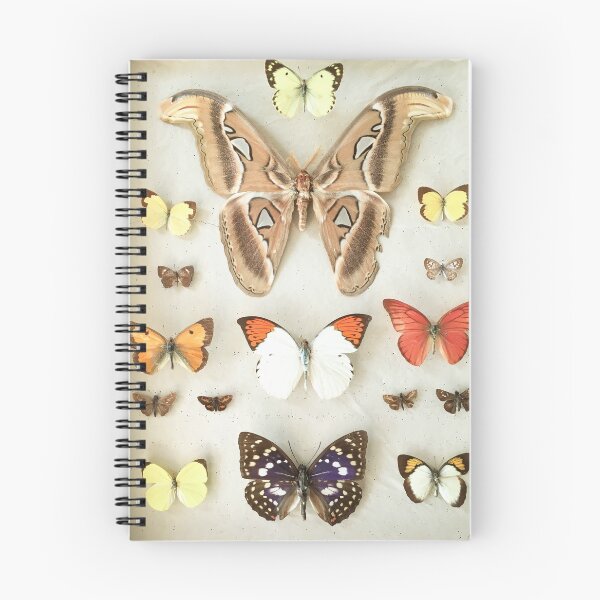 Item preview, Butterflies and Moths designed and sold by Cassia Beck.