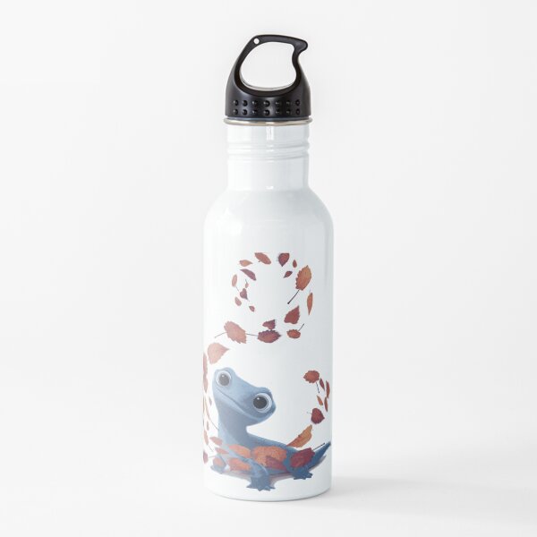 Fire Lizard & Gale Water Bottle