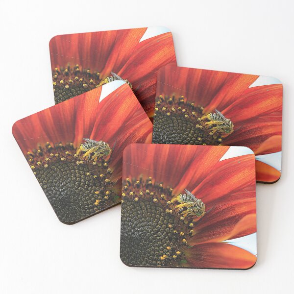 Item preview, Honey This is So Sweet designed and sold by Brenda Burnett.