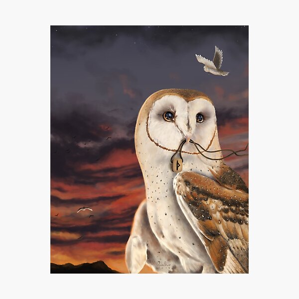 Fly Fast Photographic Print